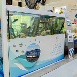 Настоящий рыболовный трал и более 30 промысловых видов живых гидробионтов можно было увидеть на SEAFOOD EXPO RUSSIA 2019