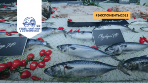 Seafood Expo Russia 2022: Обзор новых участников № 7