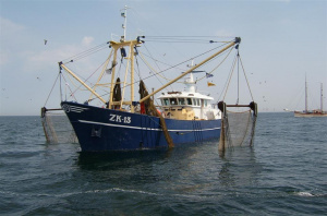 Yanmar и «Алтайский Завод Дизельных Агрегатов» примут участие в IV Global Fishery Forum & Seafood Expo Russia 