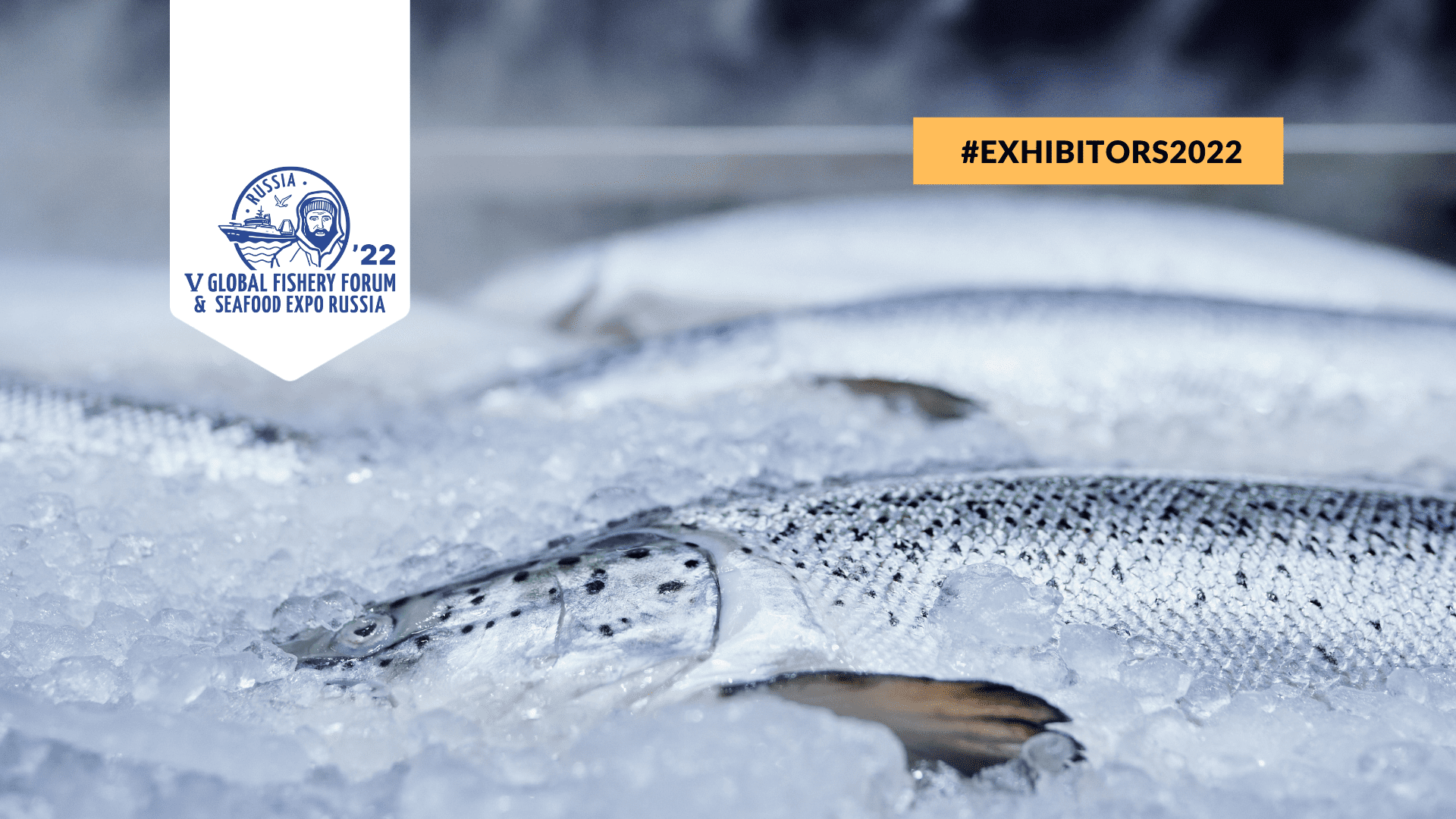 Seafood Expo Russia 2022: Overview of New Exhibitors No. 10