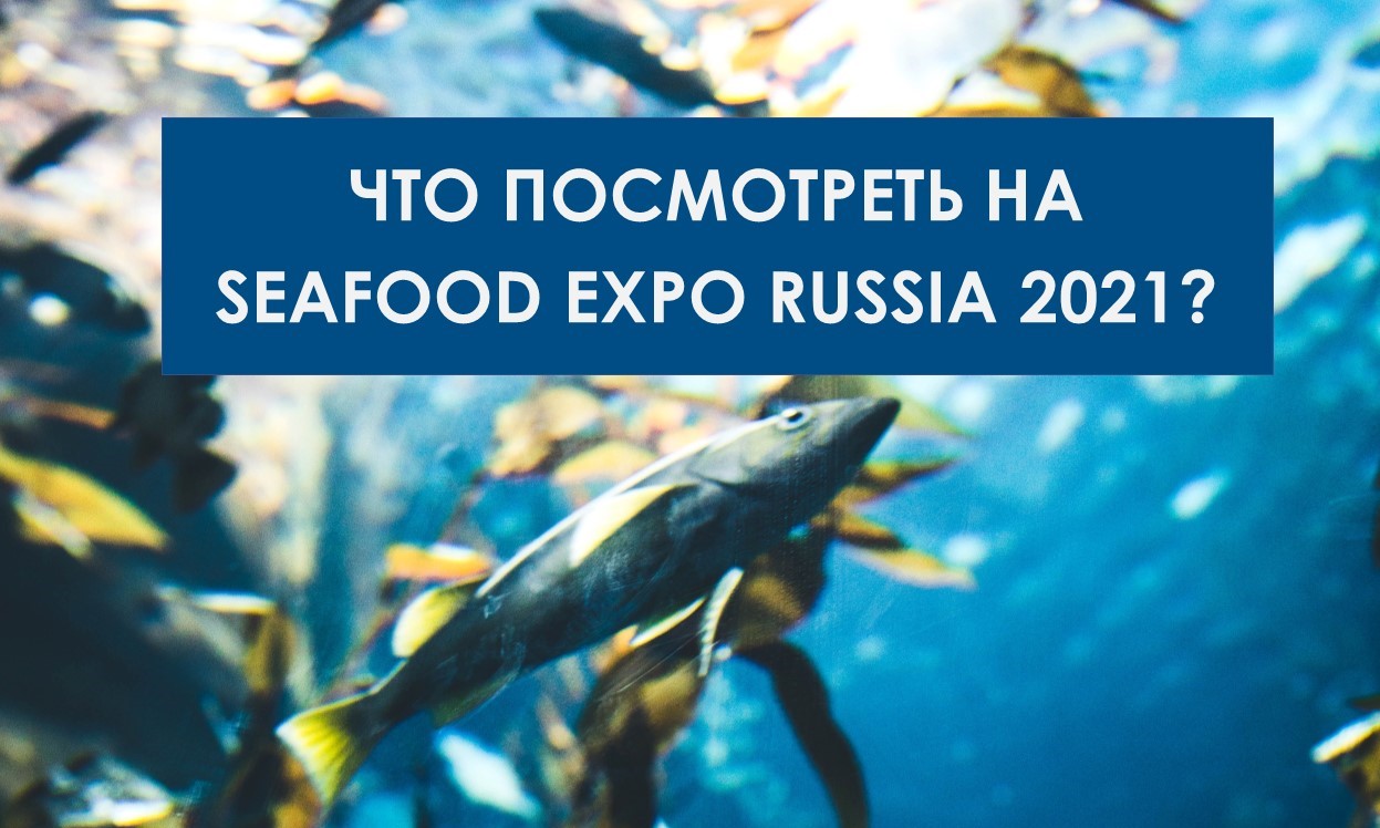 What to see at Seafood Expo Russia 2021?