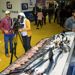 5-й Международный рыбопромышленный салон «Halieutis»