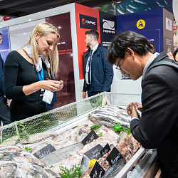 Seafood Expo Global и Seafood Processing Global 2019