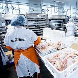 «Доброфлот» выступит партнером Global Fishery Forum & Seafood Expo Russia 2021